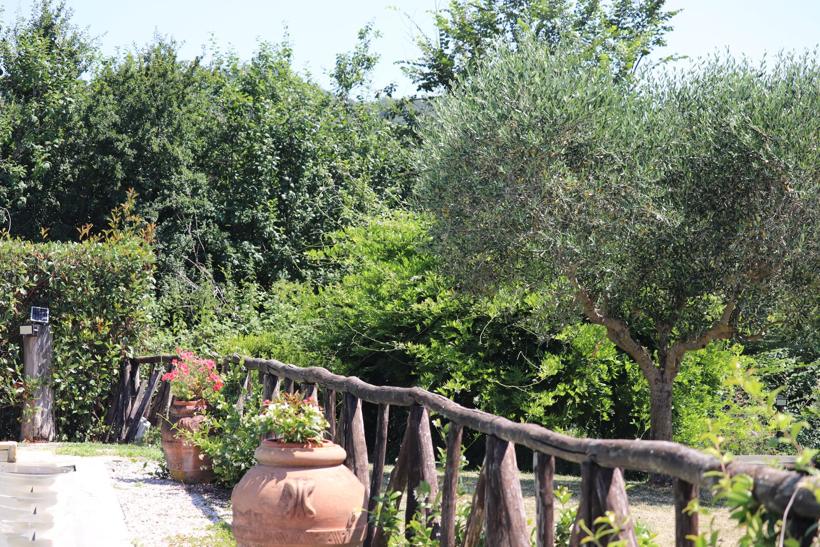 Garden terrace